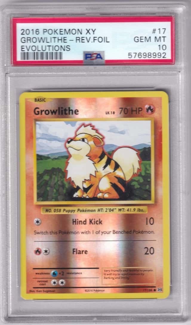 Growlithe