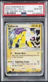 Raikou Ex