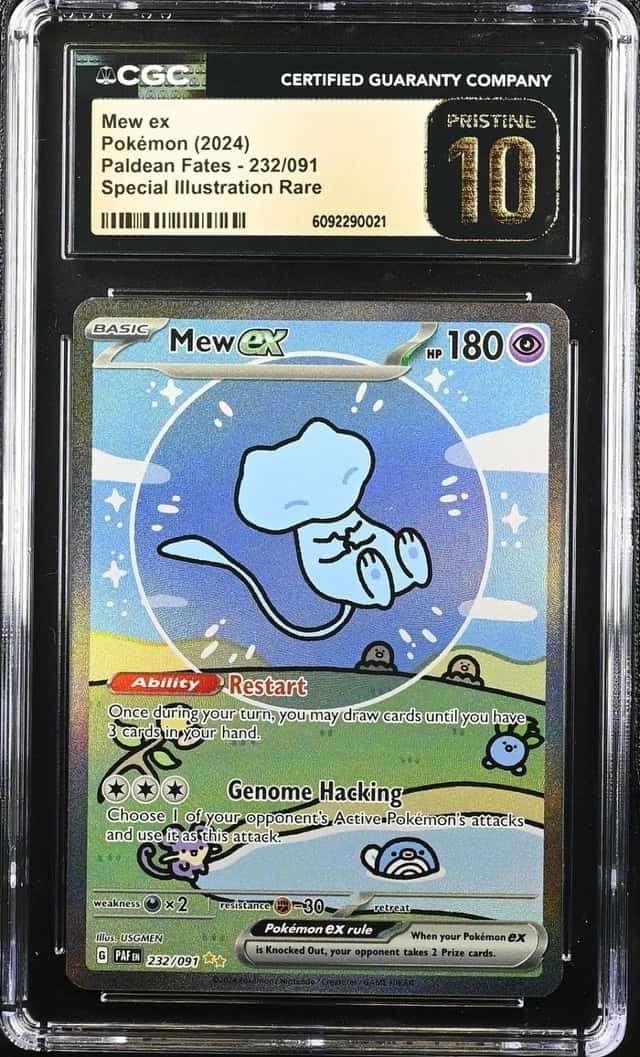 MEW ex