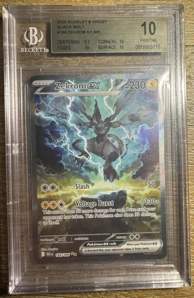 ZEKROM ex