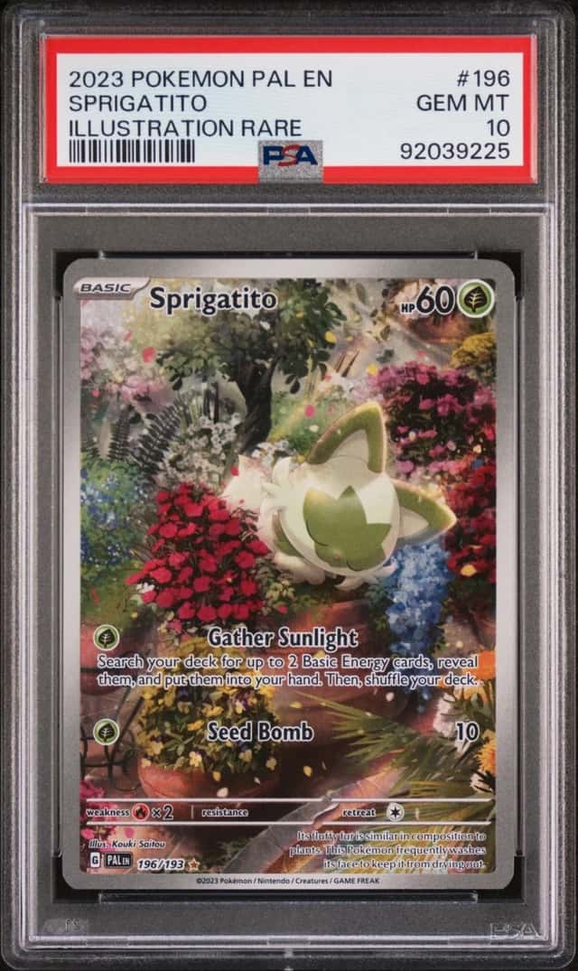 Sprigatito
