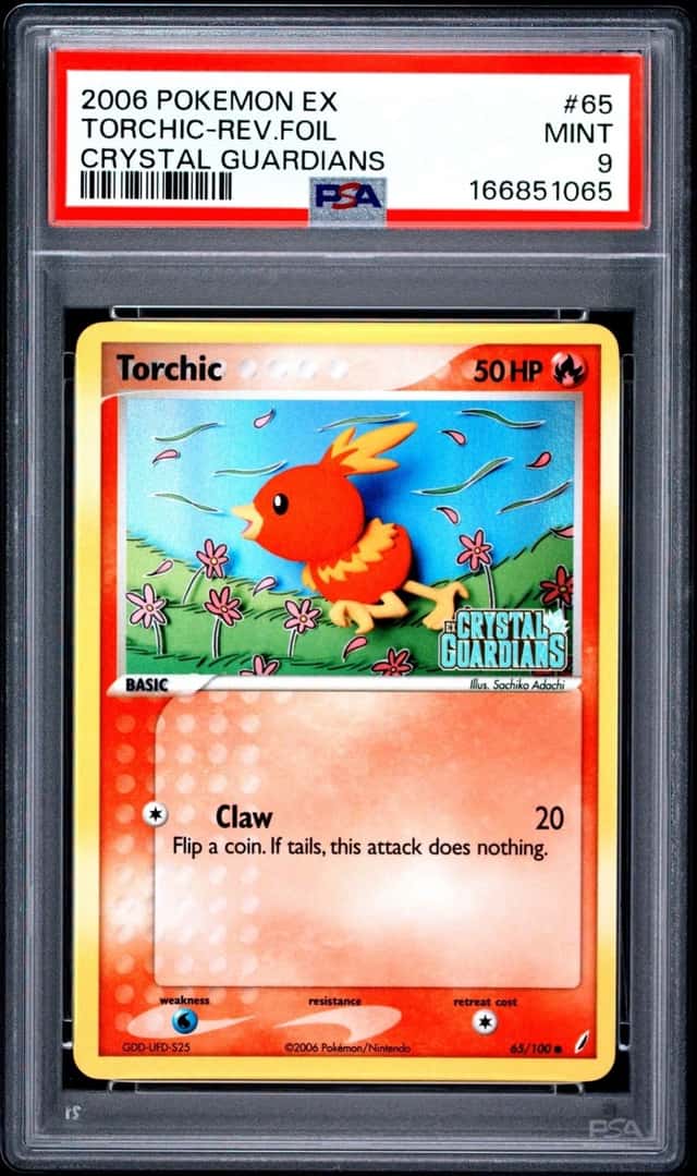 Torchic
