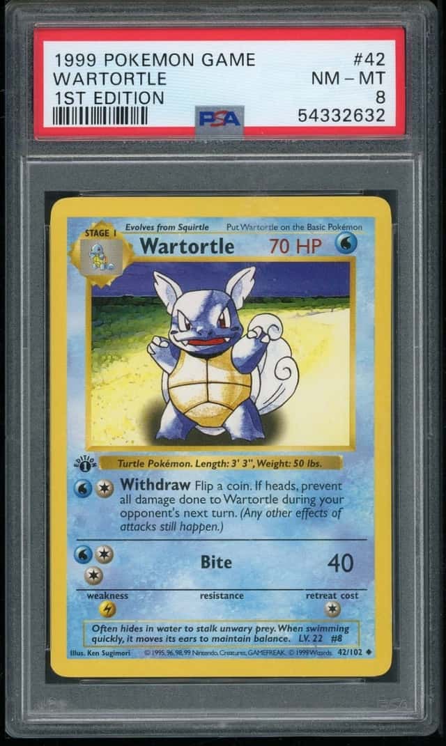 Wartortle
