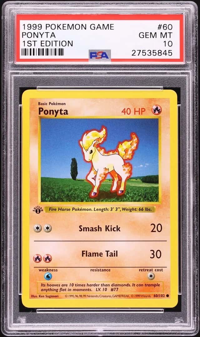 Ponyta