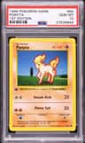 Ponyta