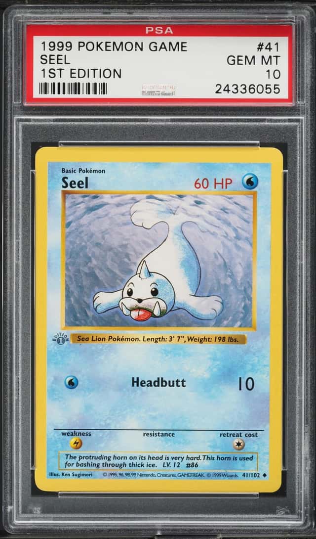 Seel