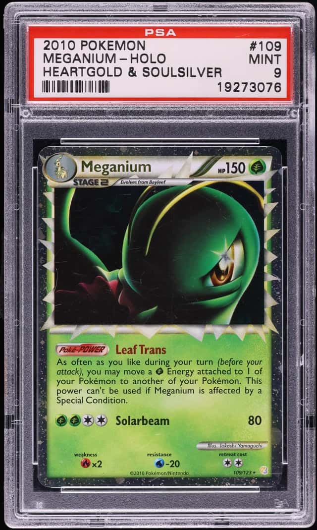 Meganium