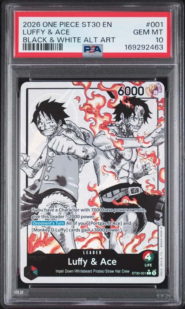 Luffy & Ace