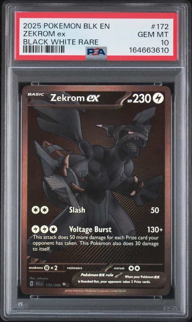 ZEKROM ex