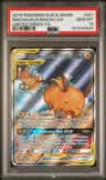 Raichu & Alolan Raichu Gx