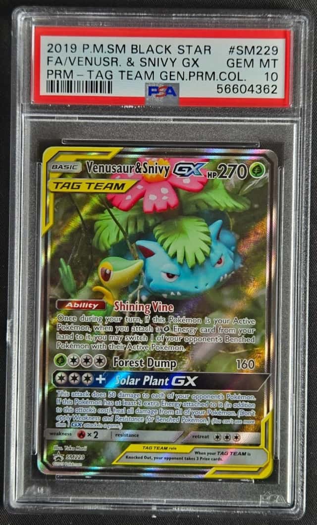 Venusaur & Snivy GX