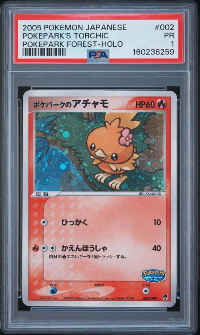 Pokepark's Torchic