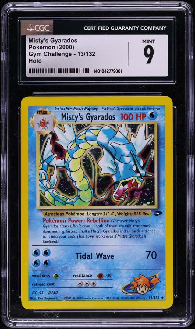 Misty's Gyarados