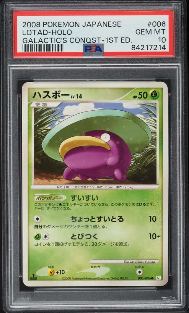 Lotad