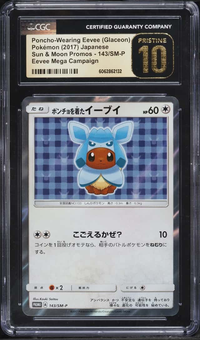 Poncho-Wearing Eevee