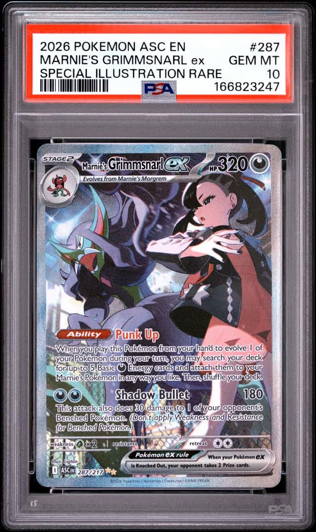 MARNIE'S GRIMMSNARL ex