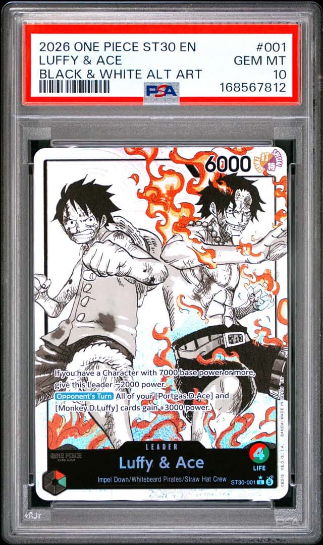 Luffy & Ace