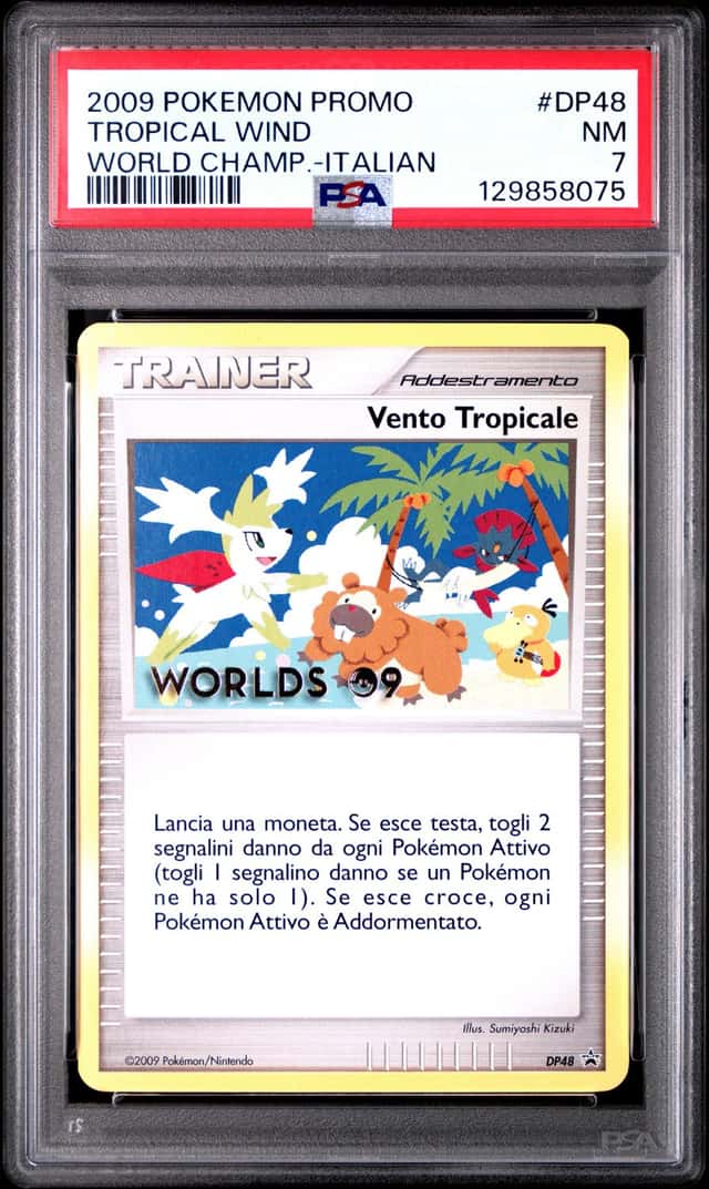 Tropical Wind