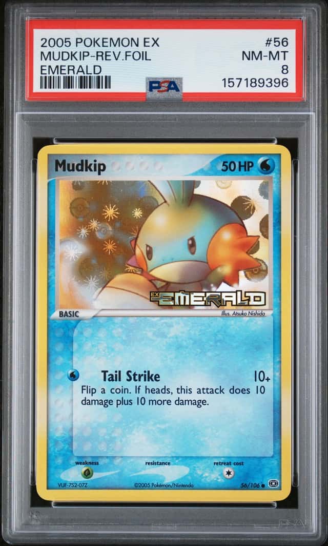 Mudkip