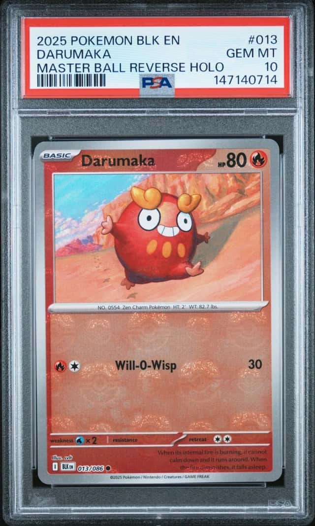 Darumaka
