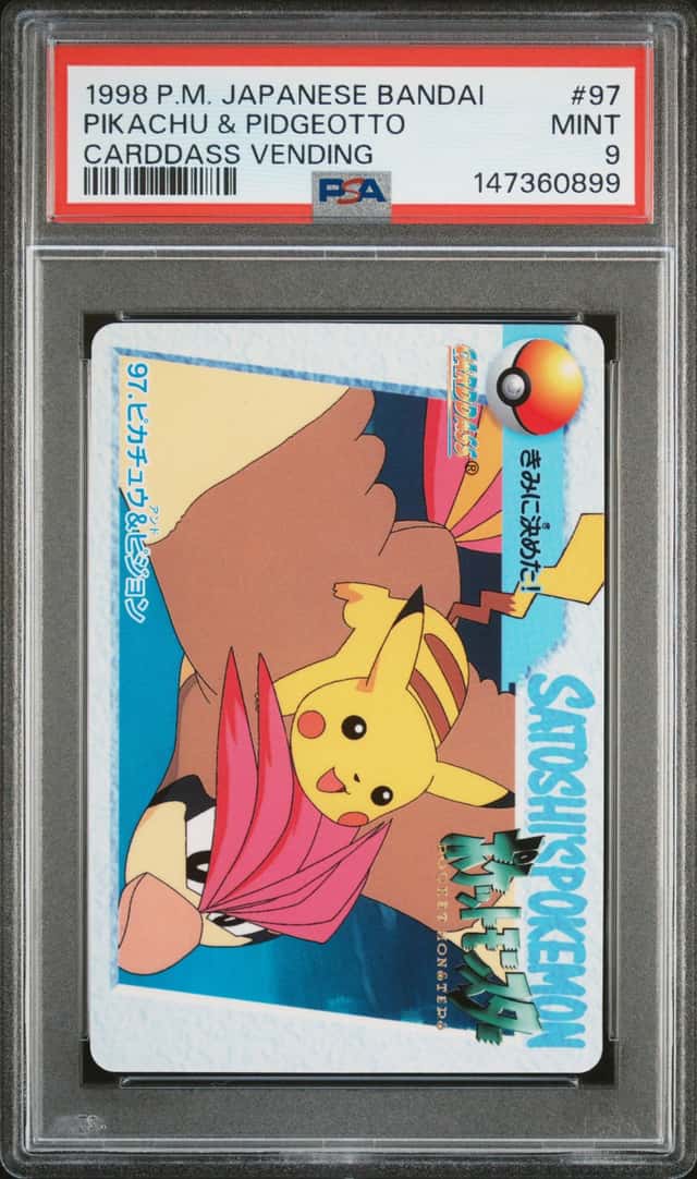 Pikachu & Pidgeotto