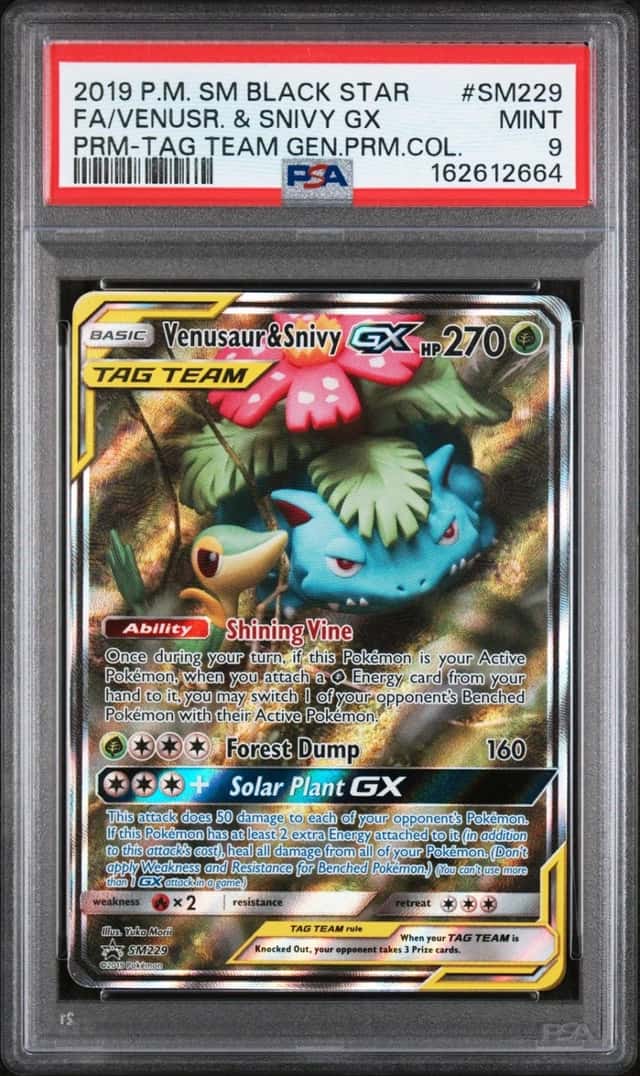 Venusaur & Snivy GX
