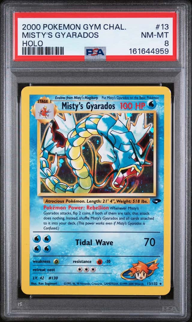 Misty's Gyarados