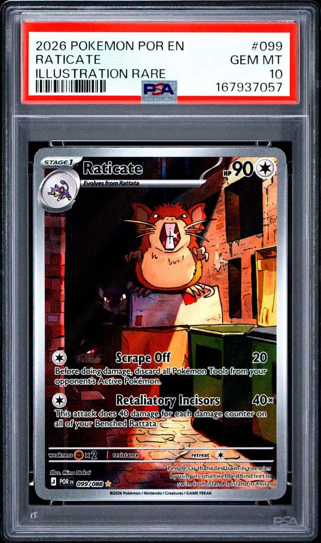 Raticate