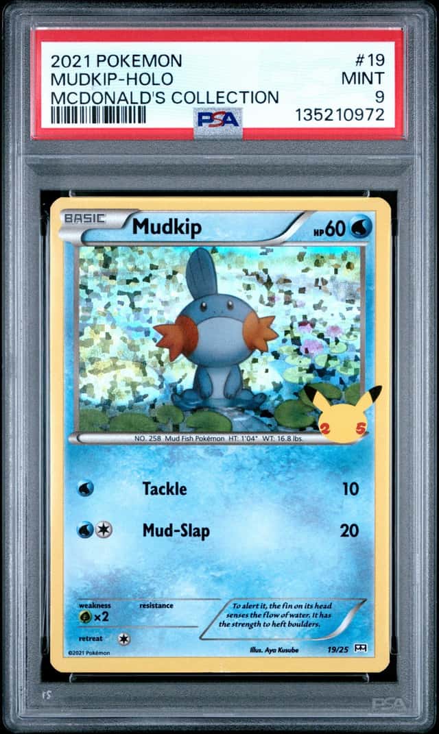 Mudkip
