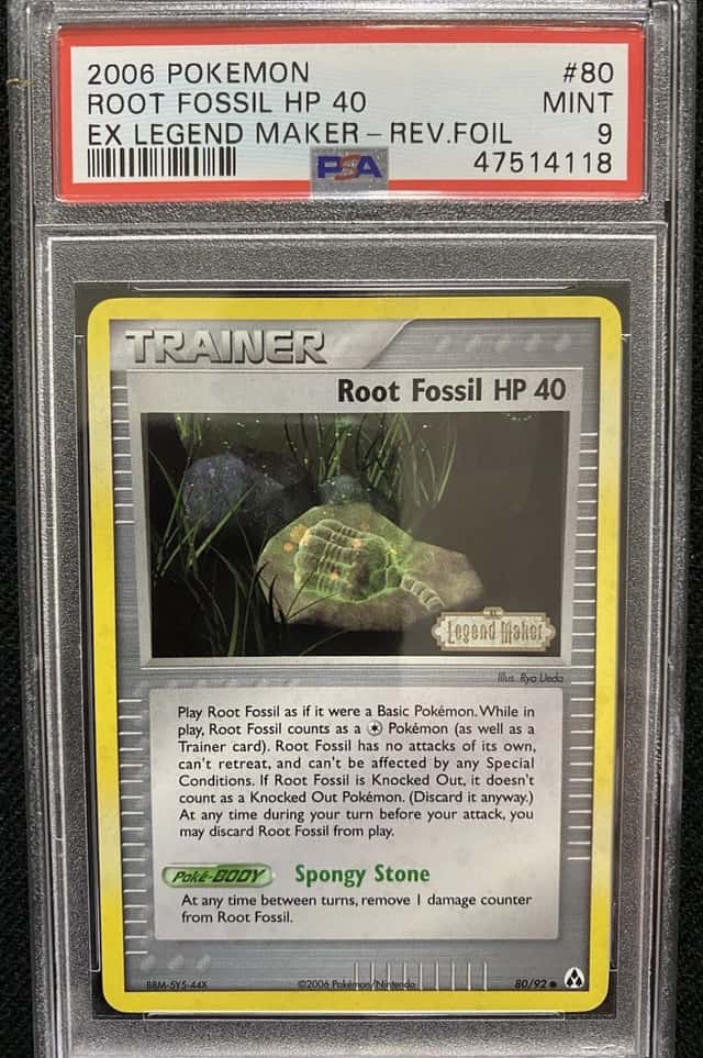 Root Fossil