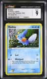 Mudkip