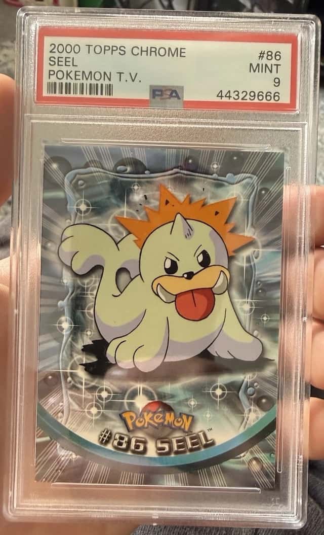 Seel