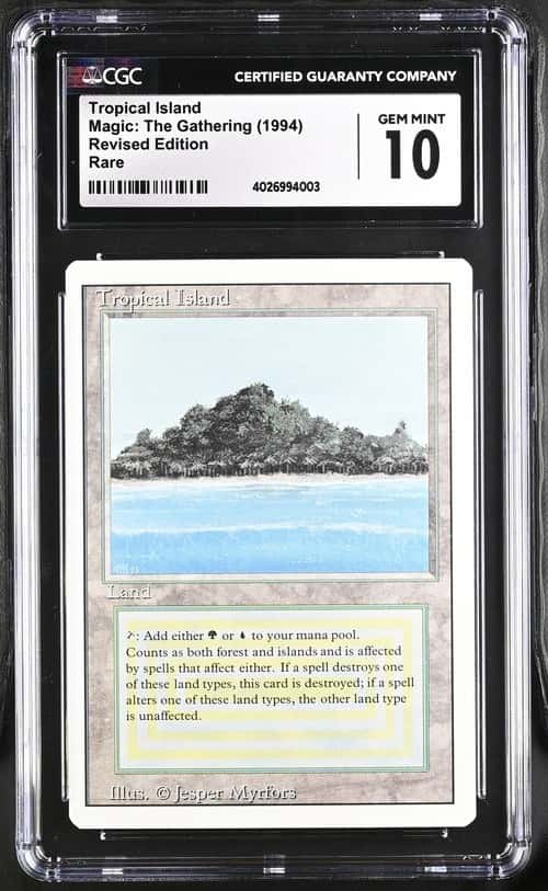 Tropical Island