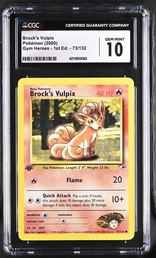 Brock's Vulpix
