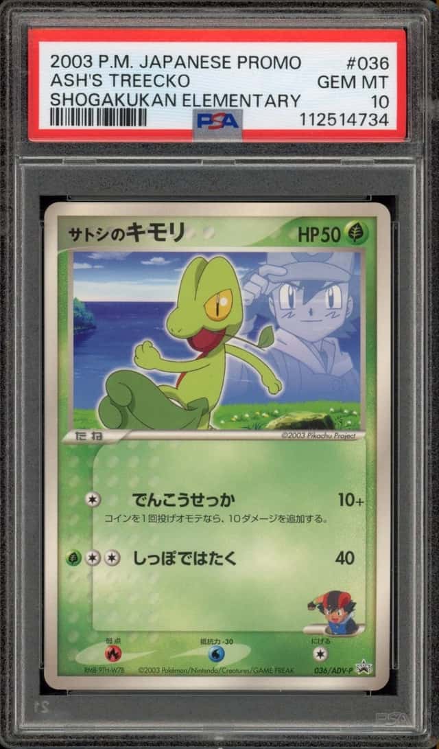 Ash's Treecko