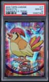 Pidgeotto