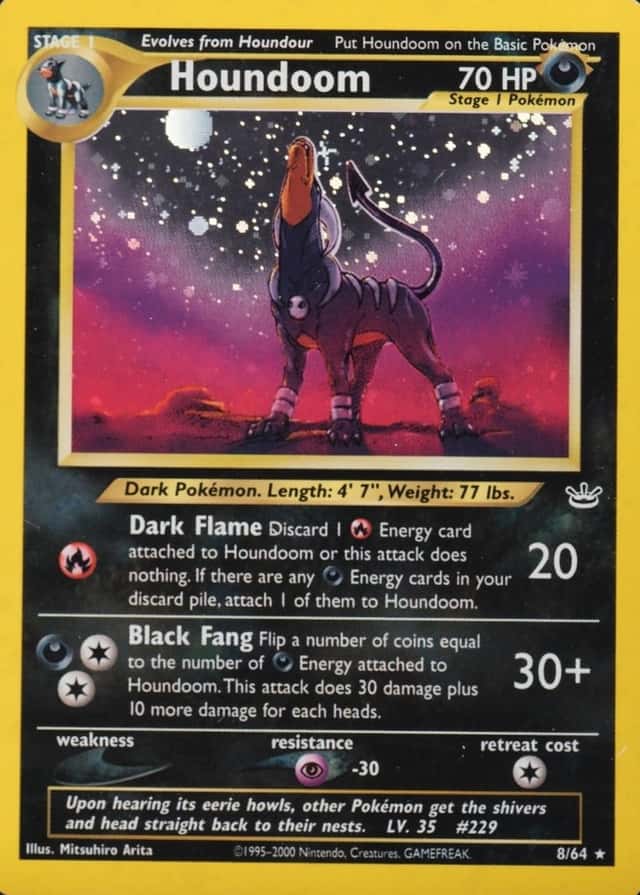 Holo