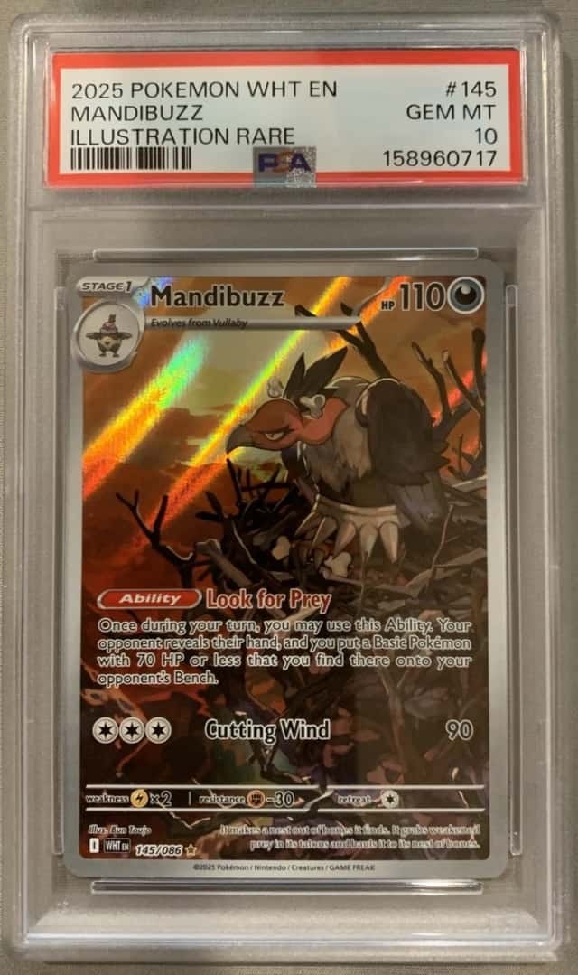 Mandibuzz