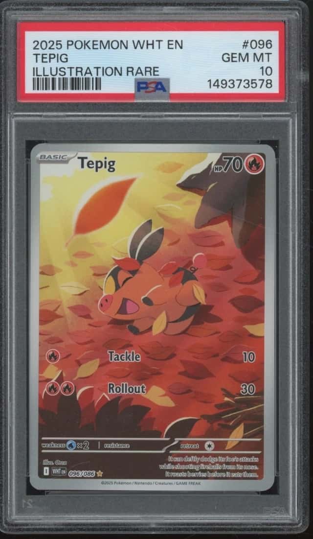 Tepig