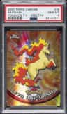 Rapidash