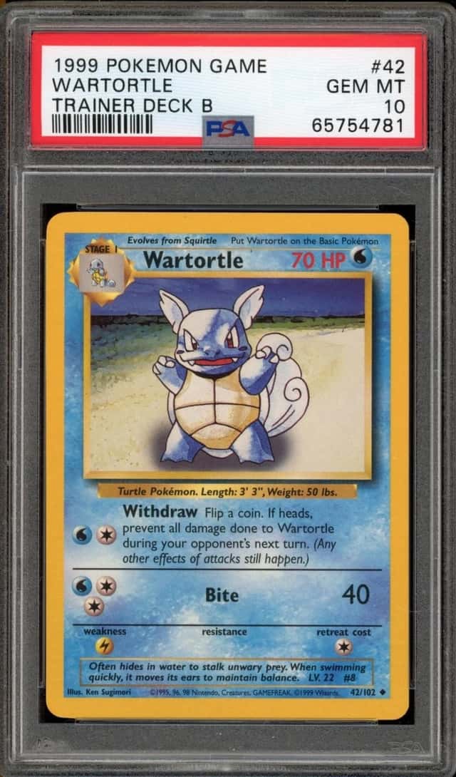 Wartortle
