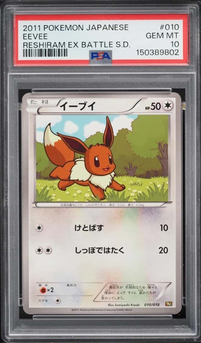 Eevee