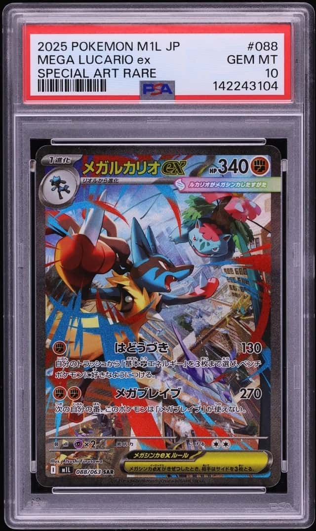 MEGA LUCARIO ex