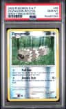 Zigzagoon
