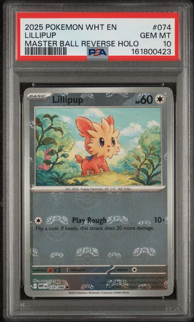 Lillipup