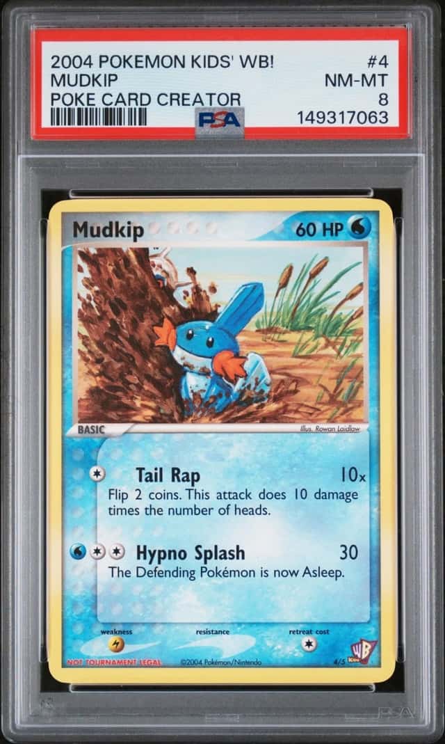 Mudkip