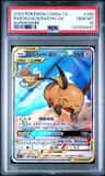 Raichu/aln.raichu Gx