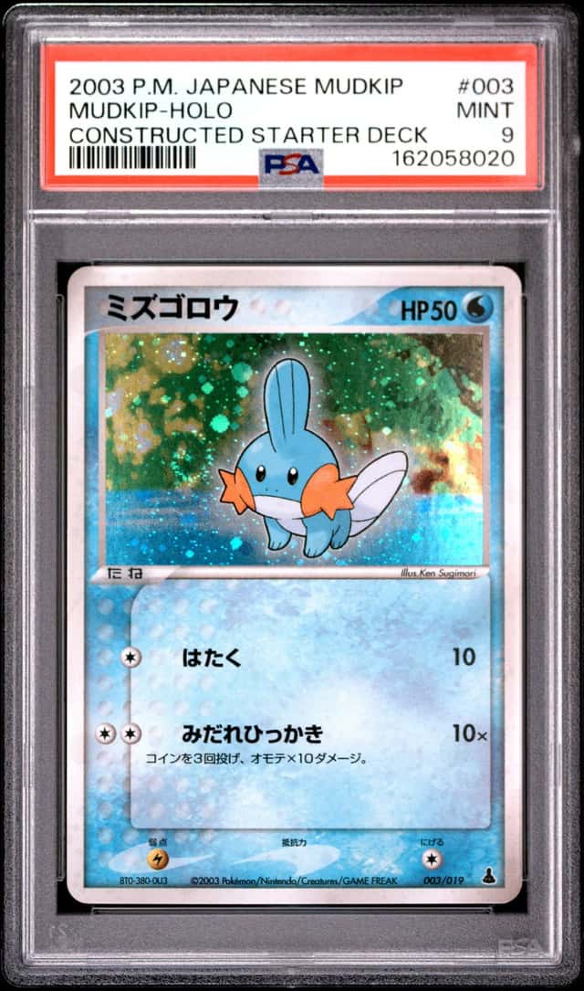 Mudkip
