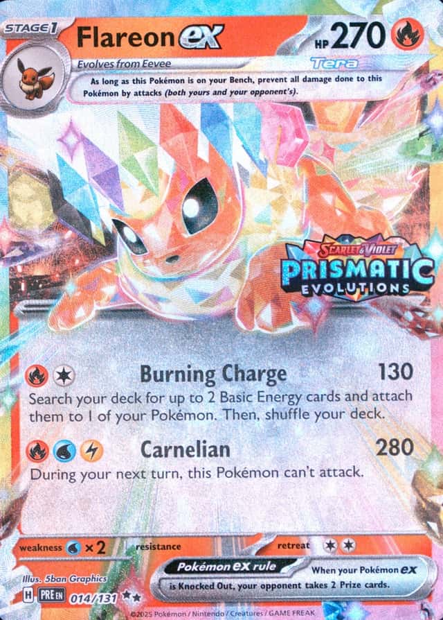 Holo · Box Exclusive Surprise