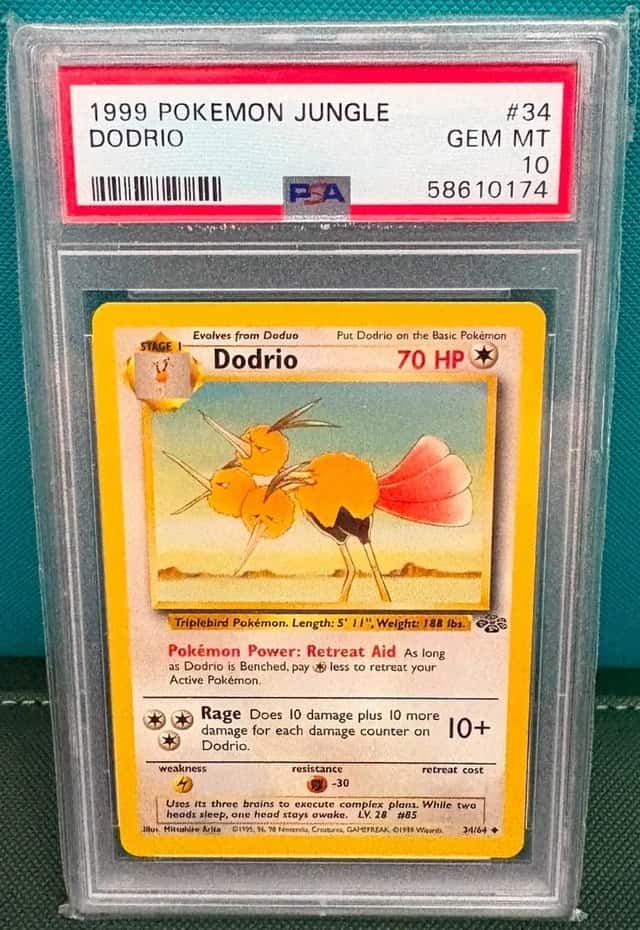 Dodrio